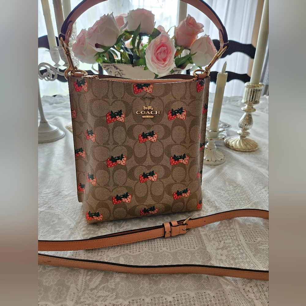 Coach Mollie Bucket Bag 22